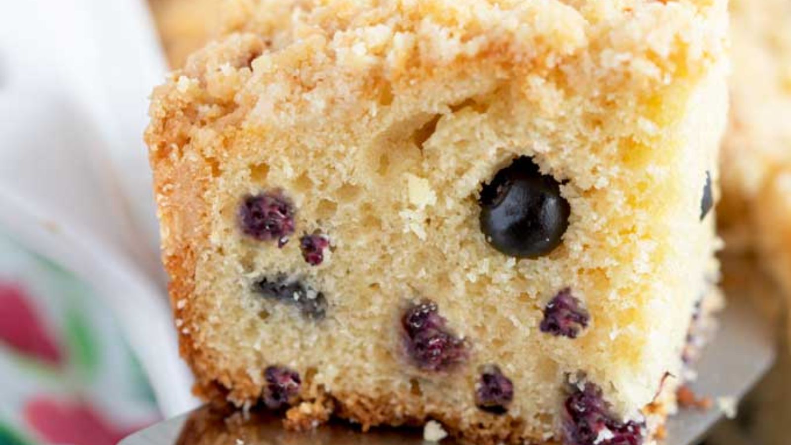 Blueberry Coffee Cake with Crumb Topping