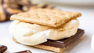 12 S’mores Recipes That Will Make Your Taste Buds Scream for S’more