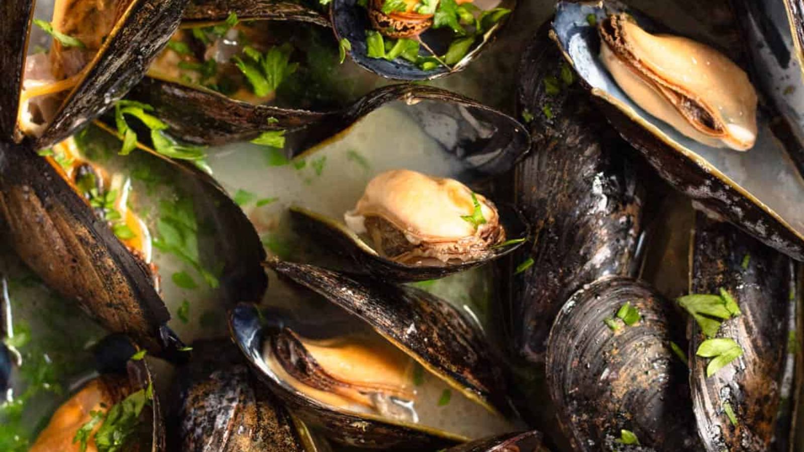 Brussels Mussels