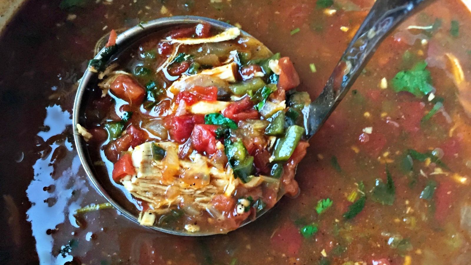 Slow Cooked Chicken Enchilada Soup