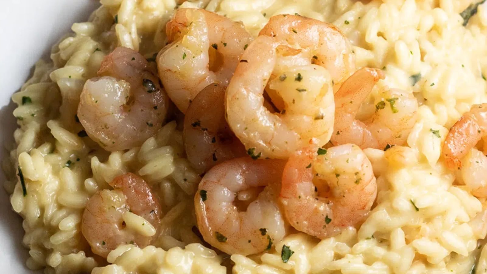 Prawn Risotto