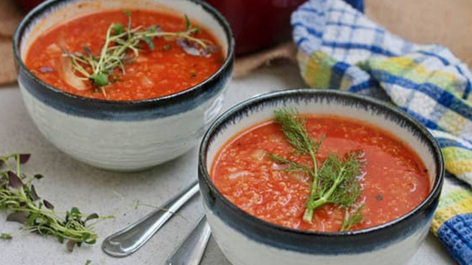 Tomato Fennel Quinoa Soup