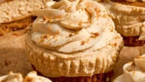 NO-BAKE MINI BISCOFF CHEESECAKES