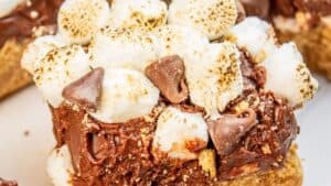 S'mores Fudge