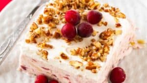 Frozen Cranberry Dessert