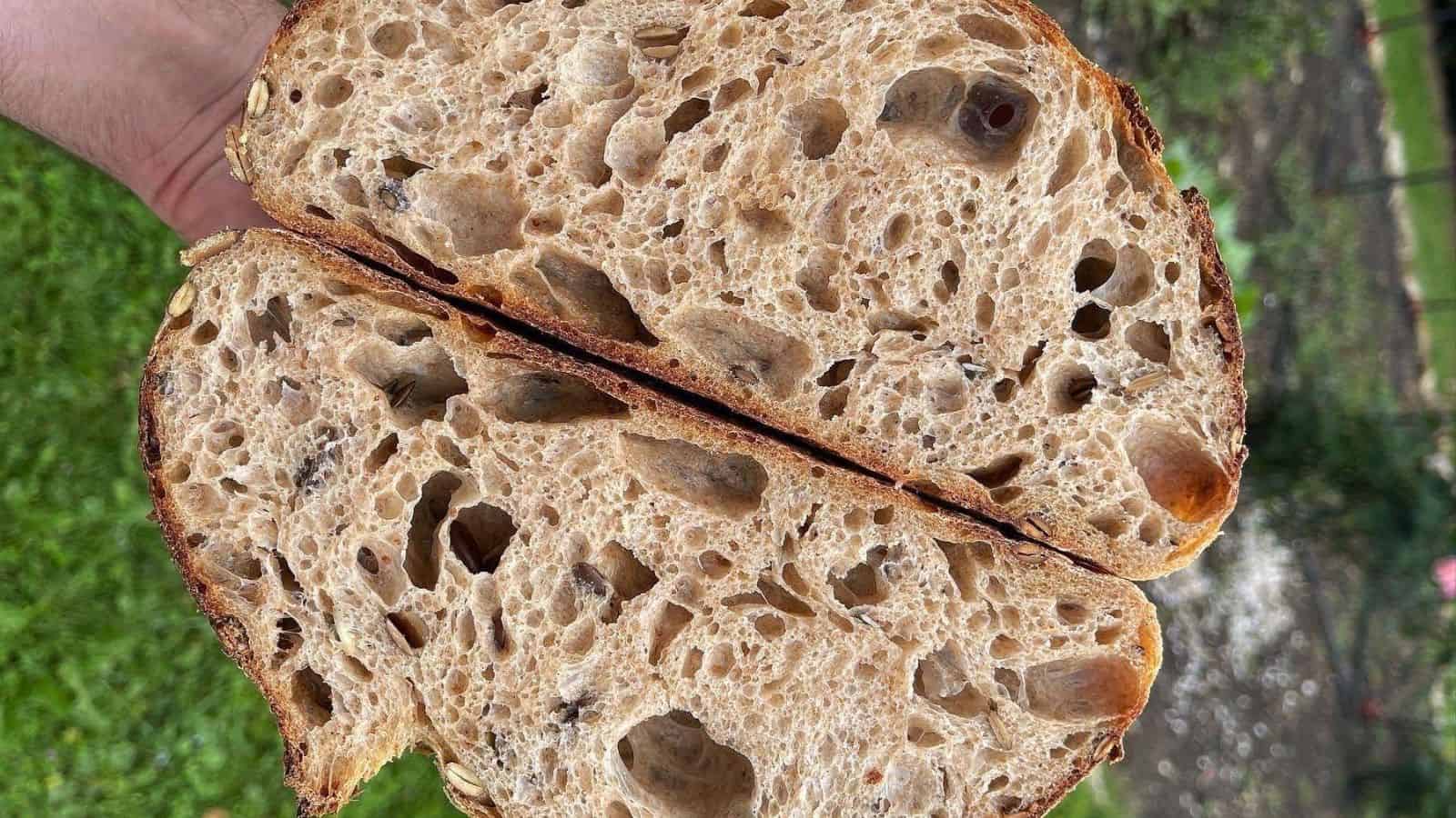 Pumpkin Seed Sourdough