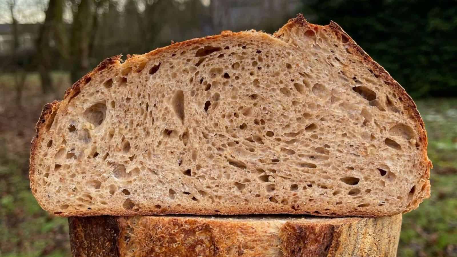 Brown Butter & Malt Porridge Sourdough