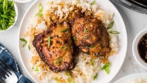Slow Cooker Teriyaki Chicken Thighs