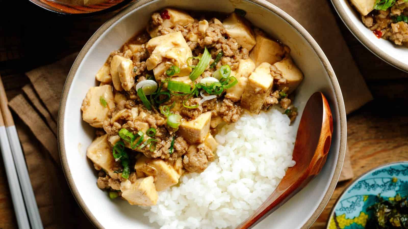 Mapo Tofu (Mabo Dofu)