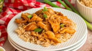 Slow Cooker Huli Huli Chicken